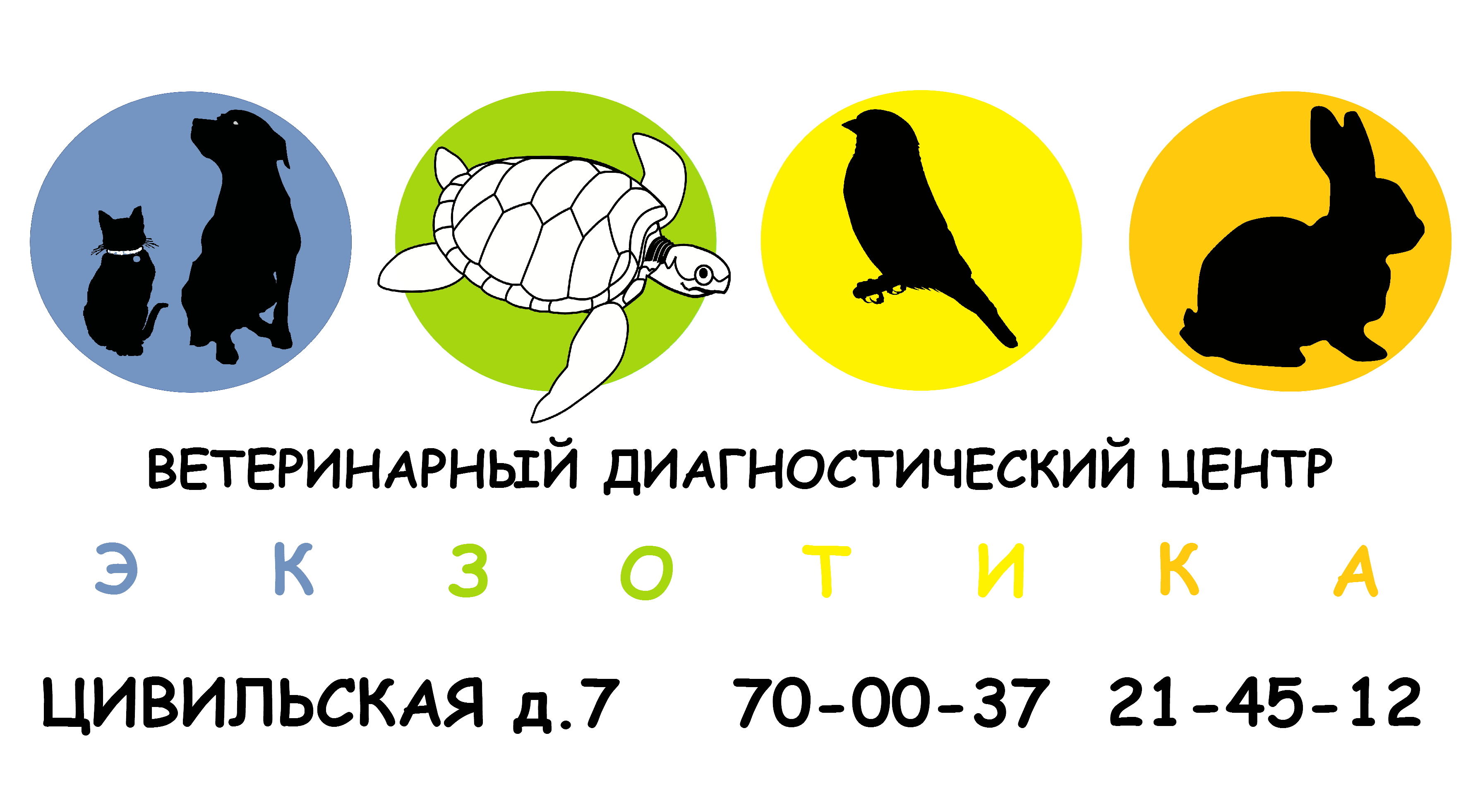 Круглосуточный ветеринарная чебоксары. Ветеринарка чебоксары. Круглосуточный ветеринарная чебоксары. Доктор вет архангельск московский. Декабристов 18а чебоксары ветклиника.